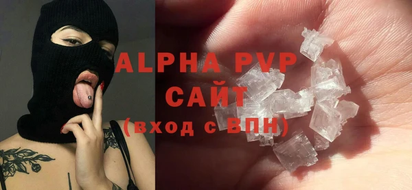 сатива Богданович