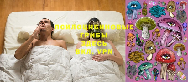 сатива Богданович
