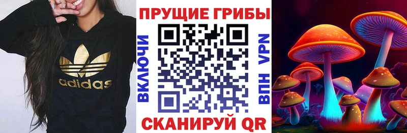 Псилоцибиновые грибы мухоморы  Хабаровск 